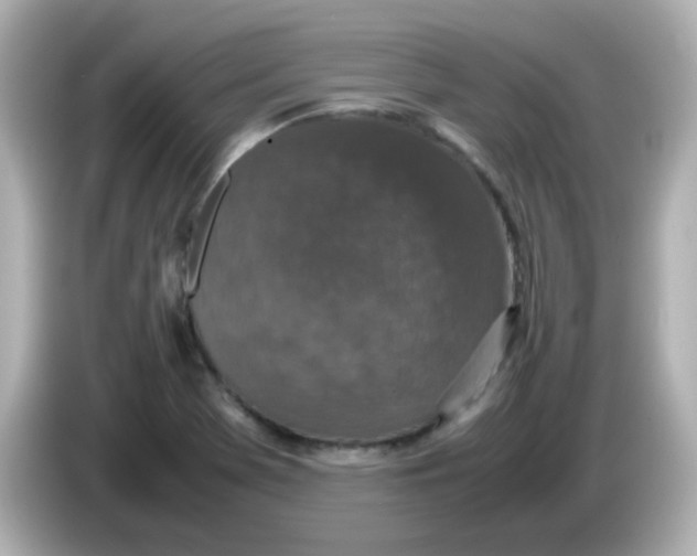 X0000085781369200704091404