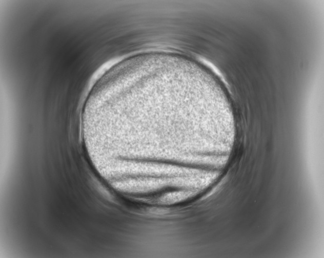 X0000085781371200704091404