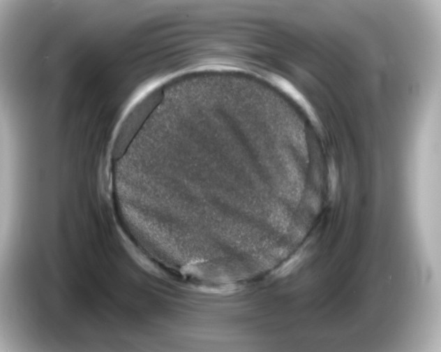 X0000085781372200704091404