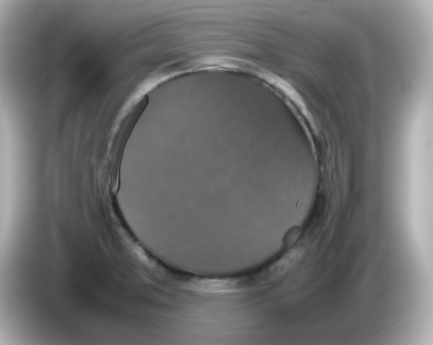 X0000085781373200704091404