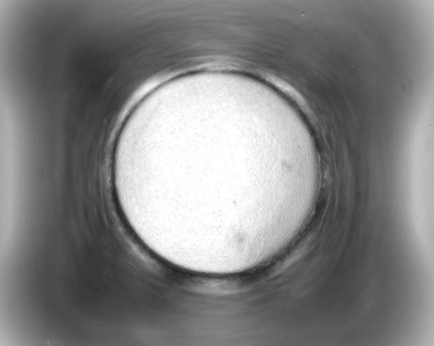 X0000085781375200704091404