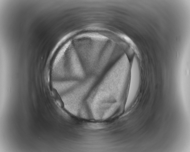 X0000085781376200704091404