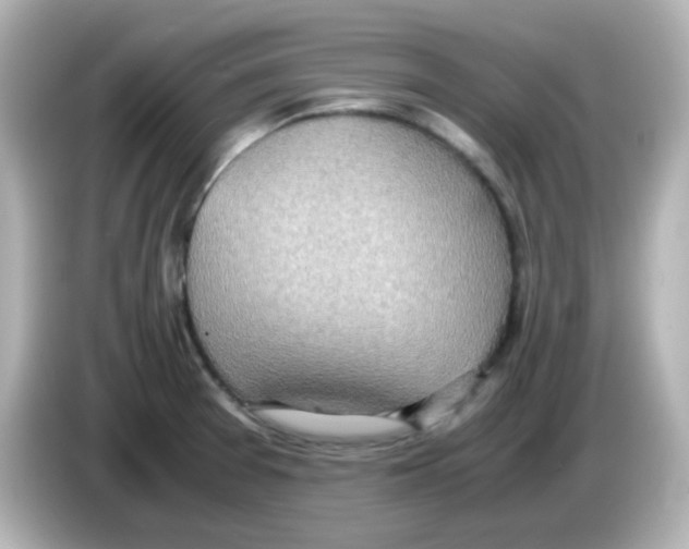 X0000085781377200704091404