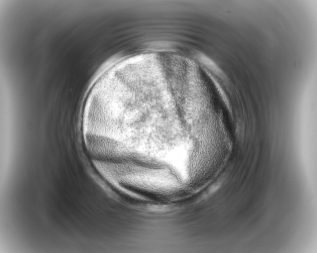 X0000085781378200704091404