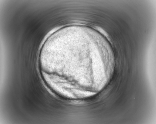 X0000085781379200704091404