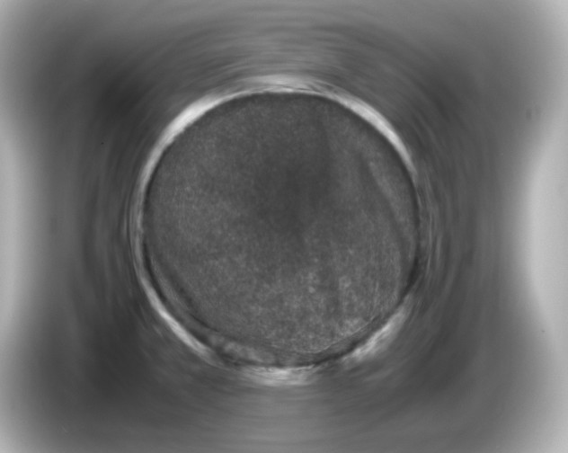 X0000085781381200704091404