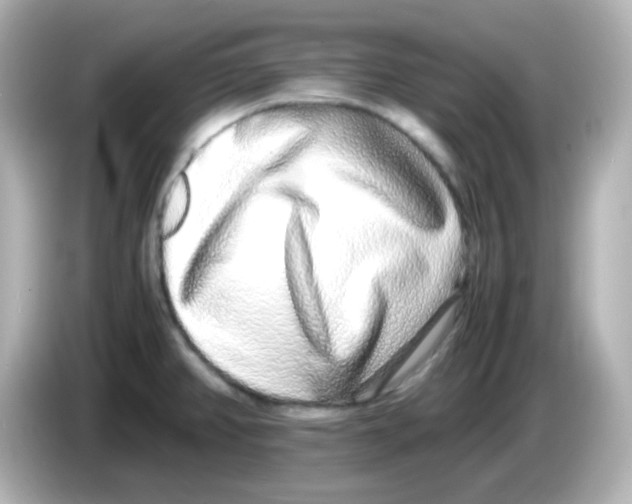 X0000085781382200704091404