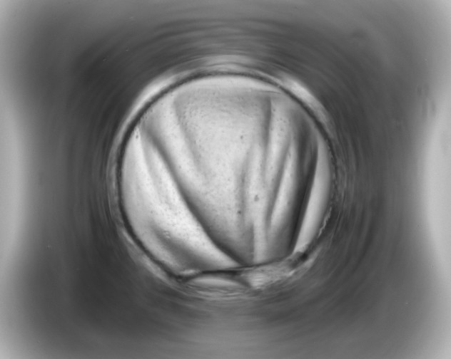 X0000085781384200704091404