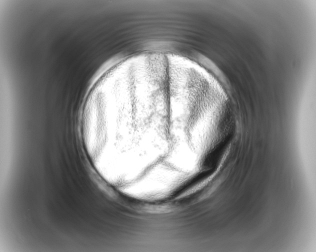 X0000085781386200704091404