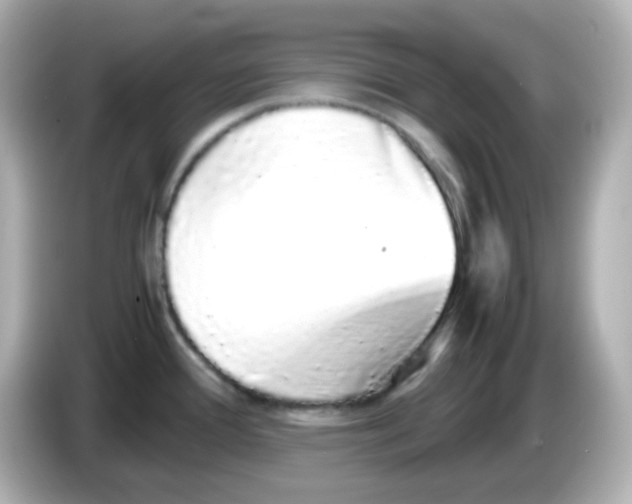 X0000085781388200704091404