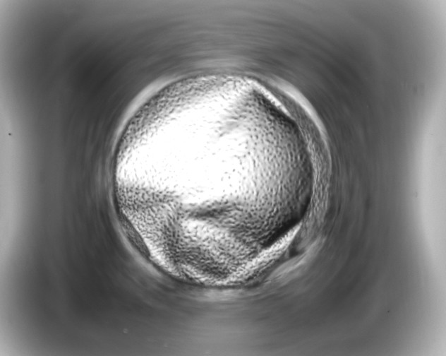 X0000085781389200704091404