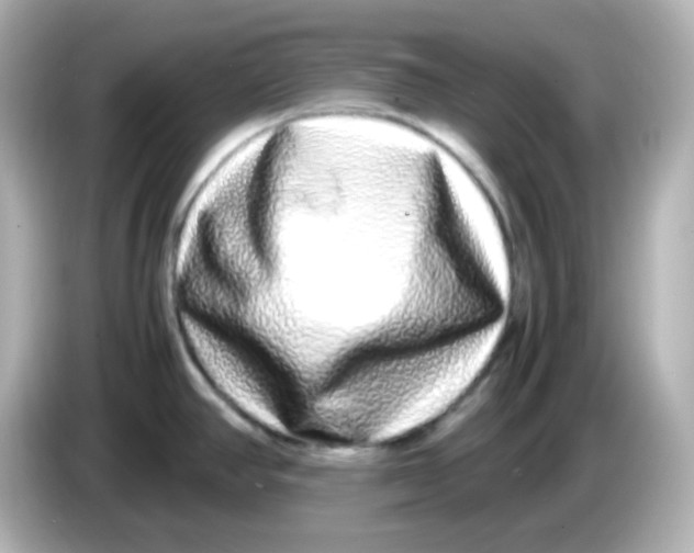 X0000085781390200704091404