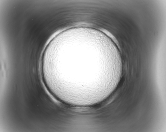 X0000085781391200704091404