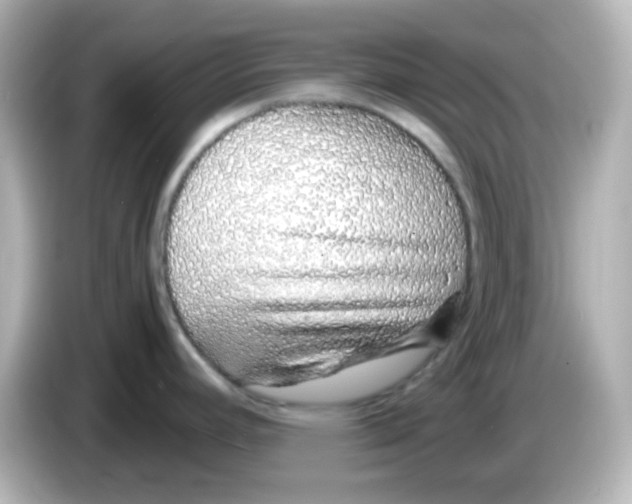 X0000085781392200704091404