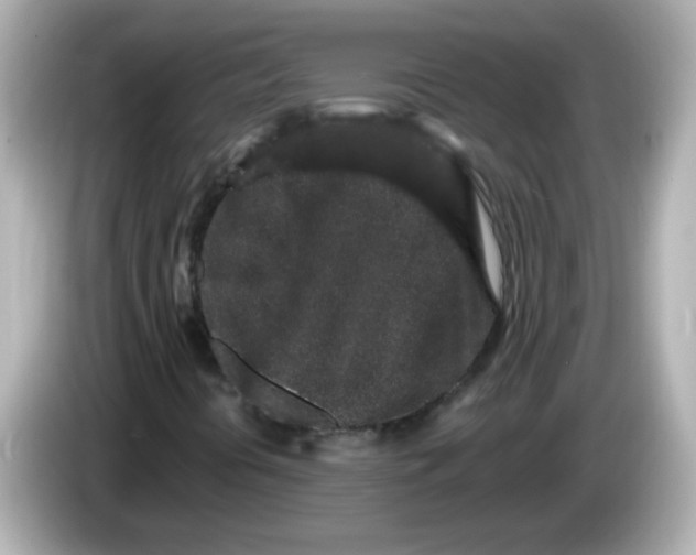 X0000085781394200704091403