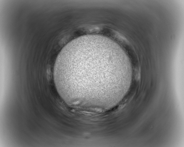 X0000085781395200704091403