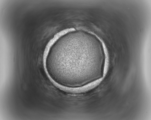 X0000085781397200704091403