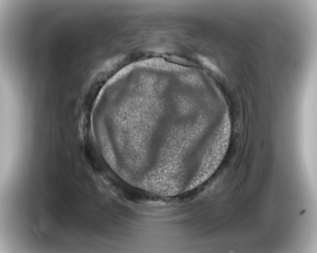 X0000085781398200704091403