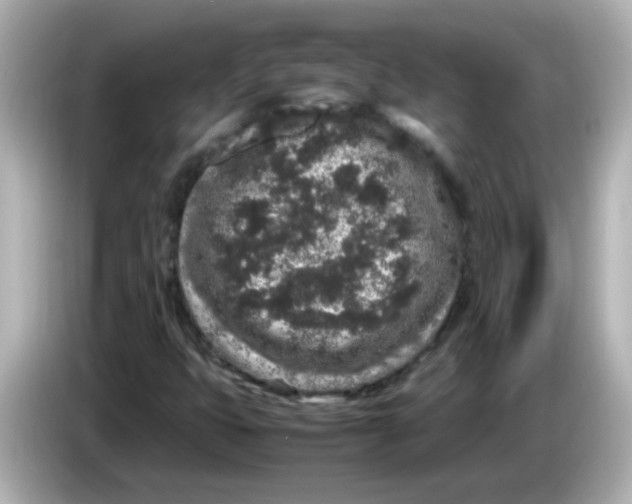 X0000085781399200704091403