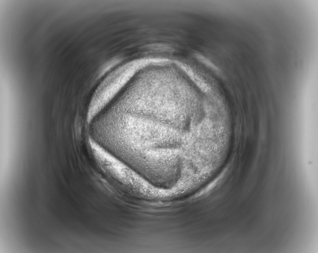 X0000085781401200704091403