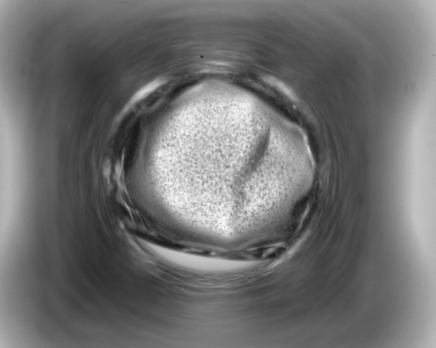 X0000085781402200704091403