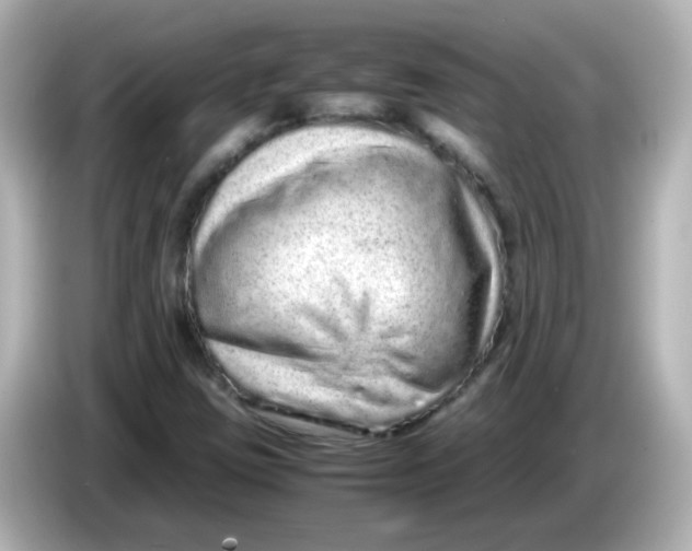 X0000085781403200704091403