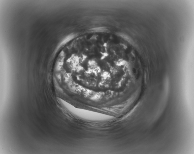 X0000085781405200704091403