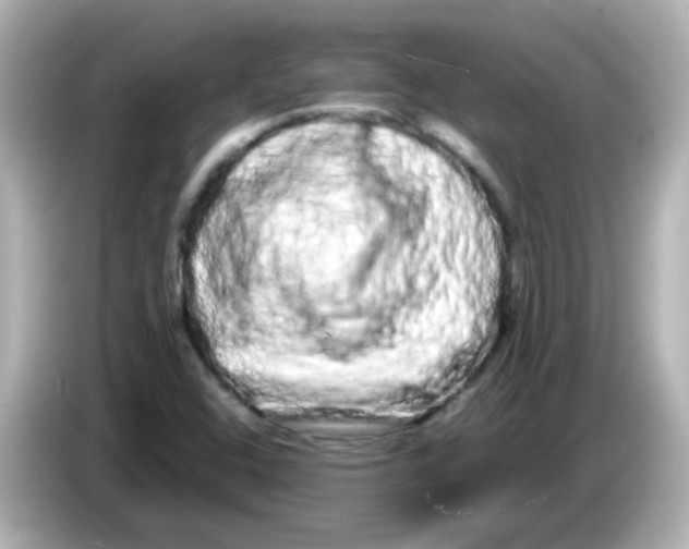 X0000085781408200704091403