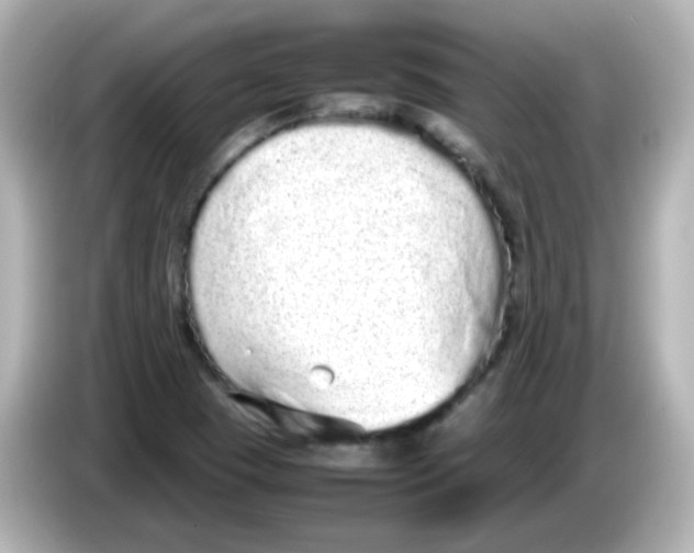 X0000085781409200704091403