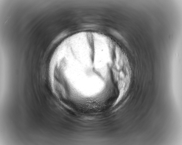 X0000085781411200704091403