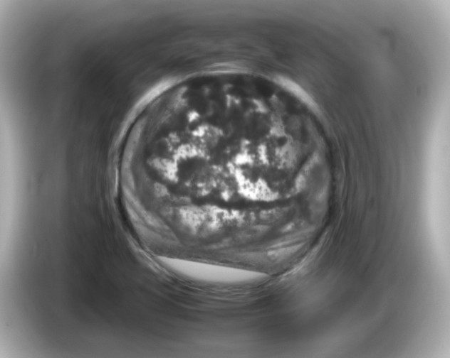 X0000085781413200704091403