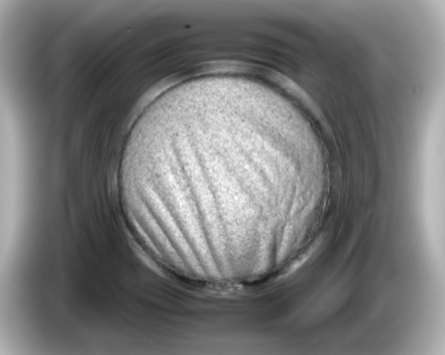 X0000085781417200704091403