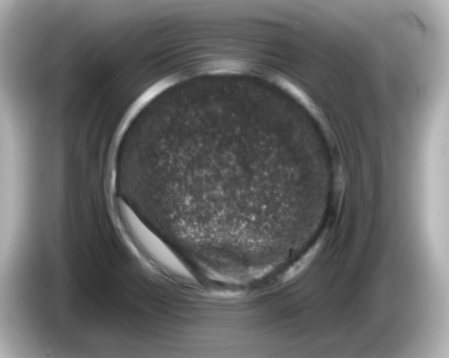 X0000085781418200704091403