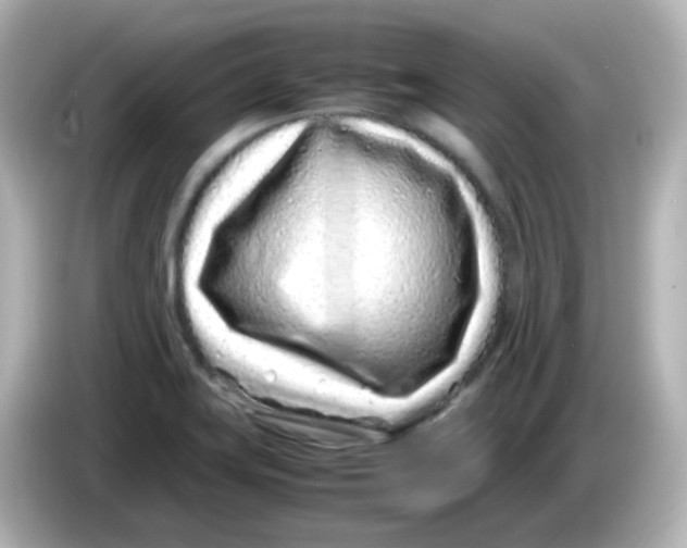 X0000085781419200704091403