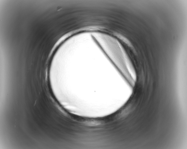 X0000085781420200704091403