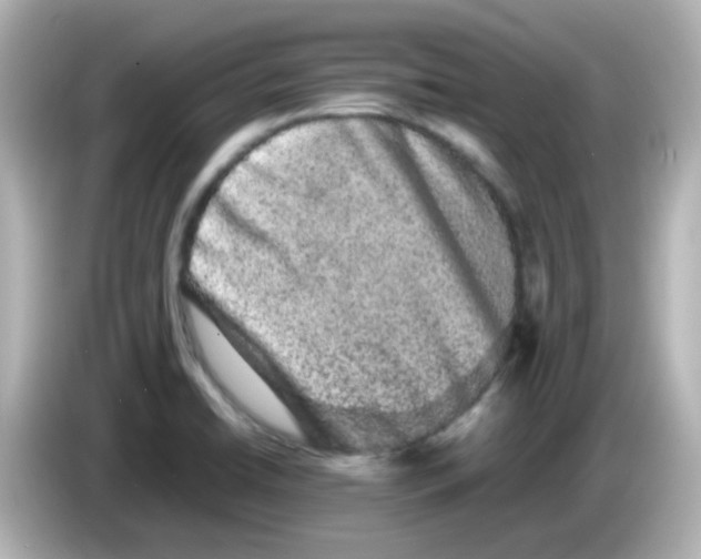 X0000085781422200704091403