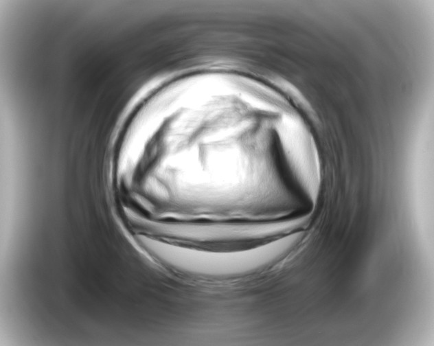 X0000085781424200704091403