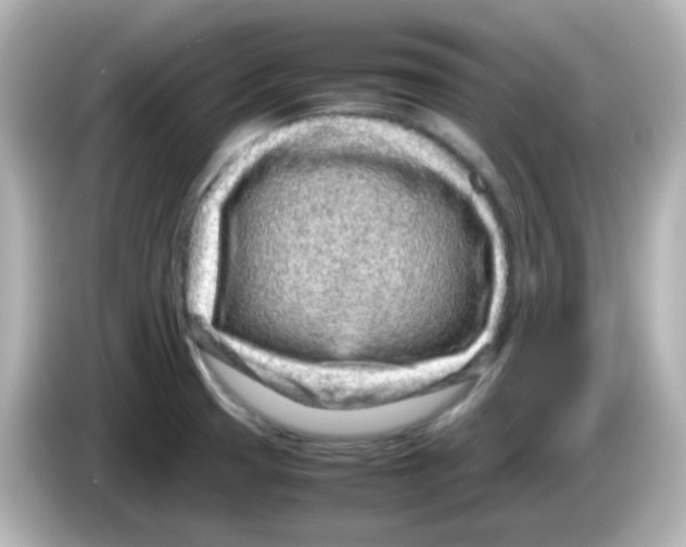 X0000085781425200704091403