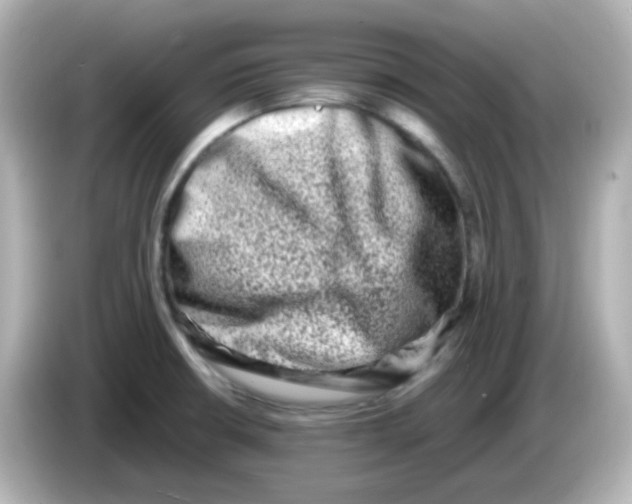 X0000085781426200704091403