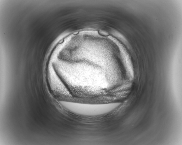 X0000085781427200704091403