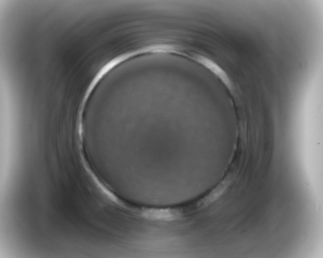 X0000085781428200704091403