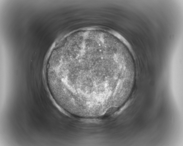 X0000085781429200704091403