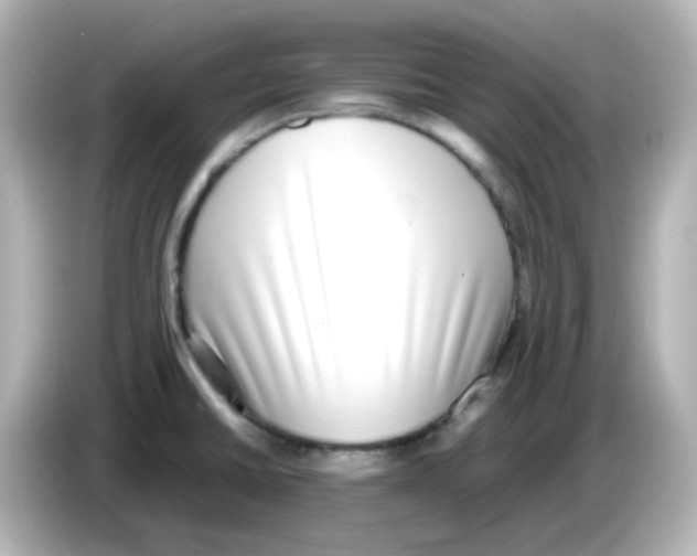 X0000085781430200704091403