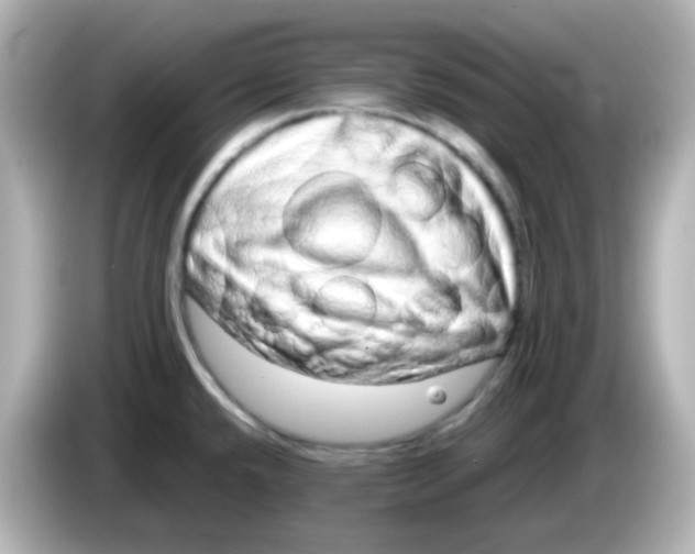 X0000085781432200704091404