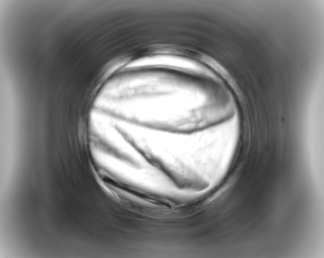 X0000085781433200704091404