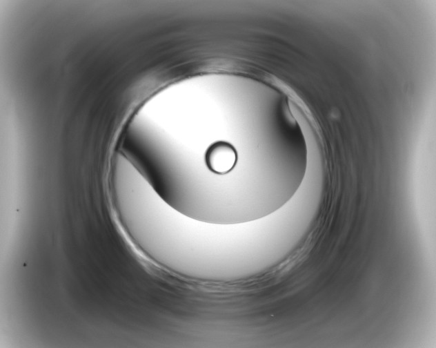 X0000085781434200704091404