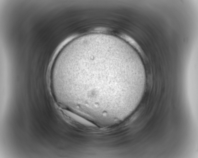 X0000085781435200704091404