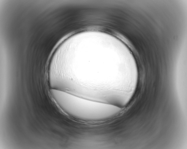 X0000085781436200704091404