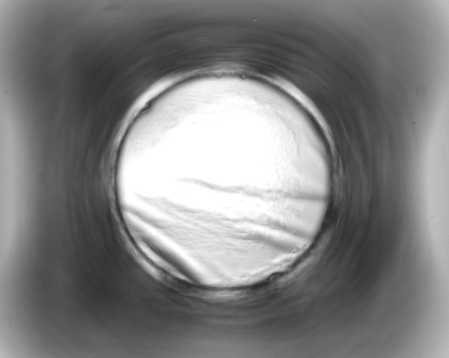 X0000085781437200704091404