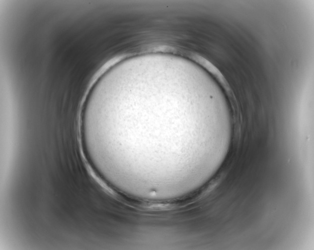 X0000085781439200704091404